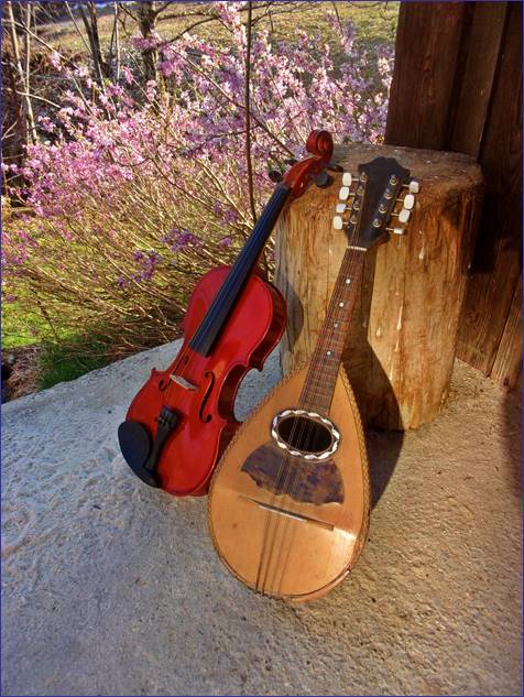 Descrizione: Descrizione: Violino e mandolino 3