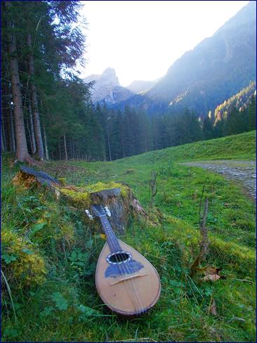 Mandolino in val Gares (9)