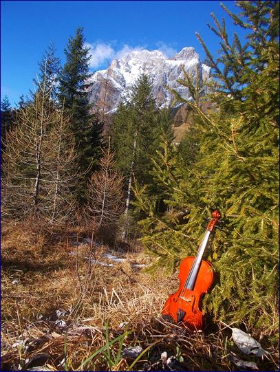 Violino al Passo Duran 2