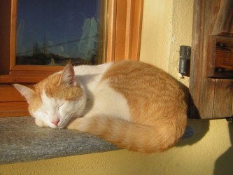 Descrizione: Descrizione: Descrizione: Descrizione: Descrizione: Descrizione: Descrizione: Descrizione: Descrizione: Otisdavanzale